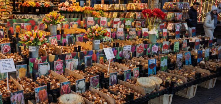Albert Cuyp Market