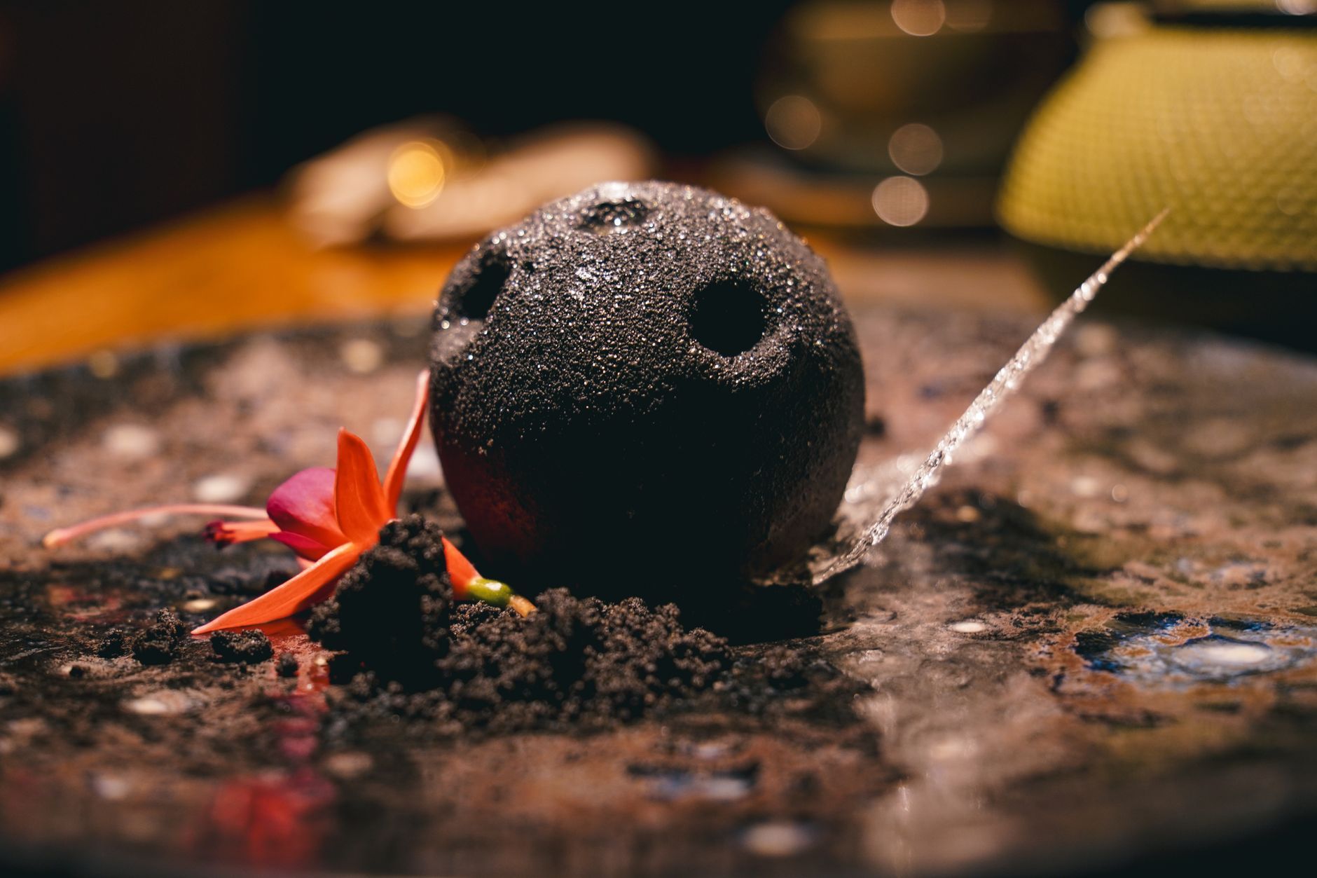 Alinea Molecular Gastronomy Chicago USA