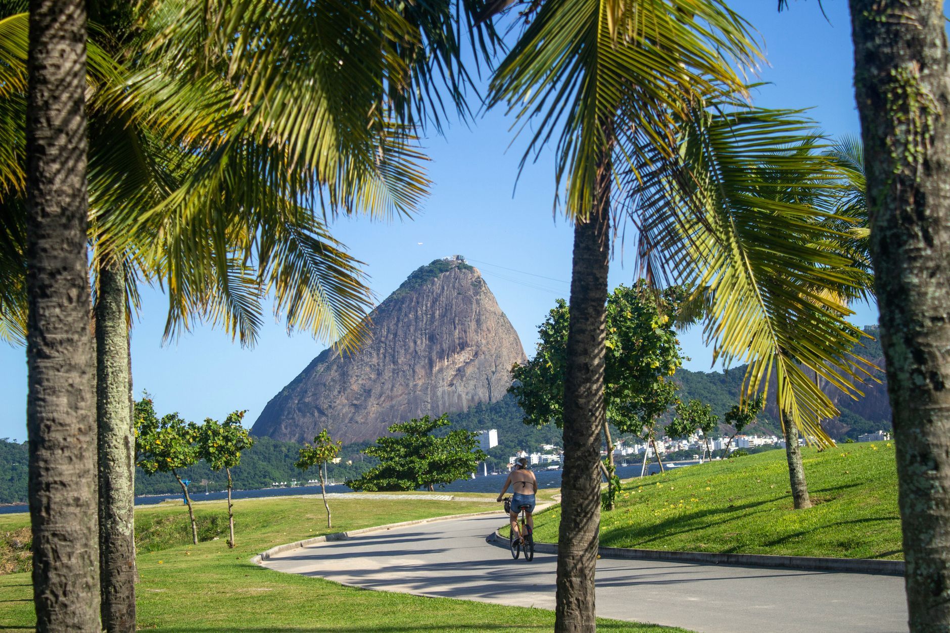 Aprazivel Rio de Janeiro Brazilian Modern