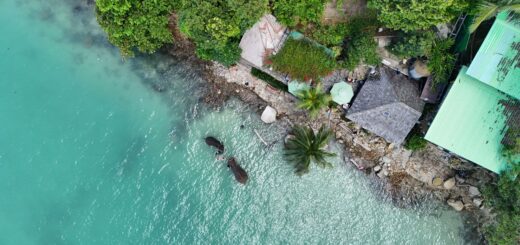 Blue Elephant Phuket img 0