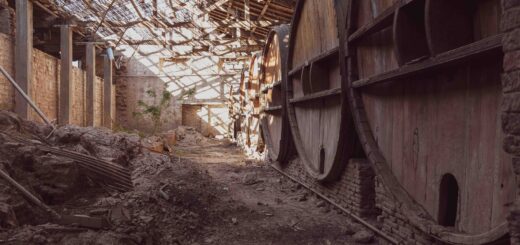 Bodega Garzon