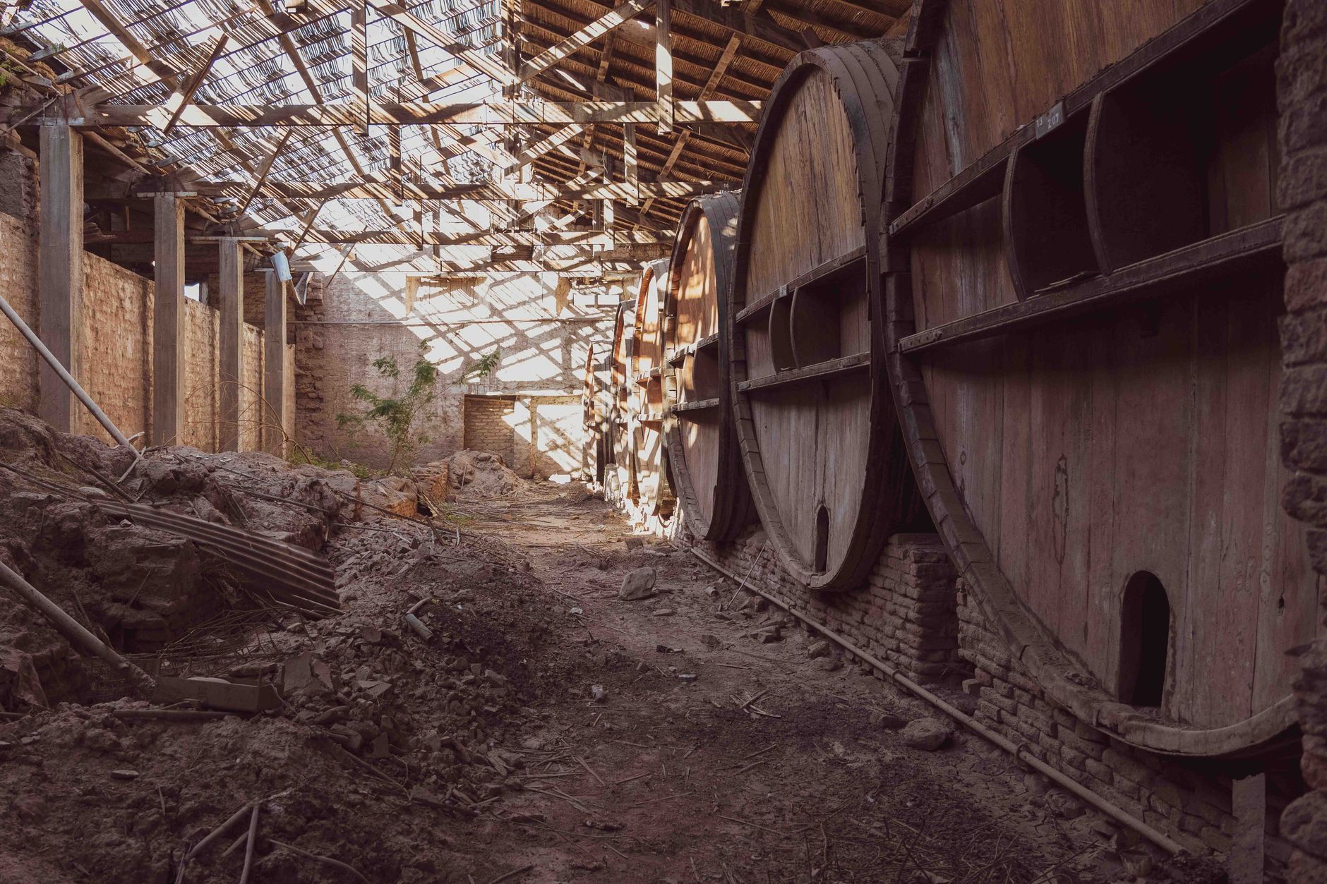 Bodega Garzon Punta del Este Uruguayan Modern