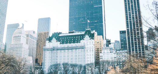 Eleven Madison Park