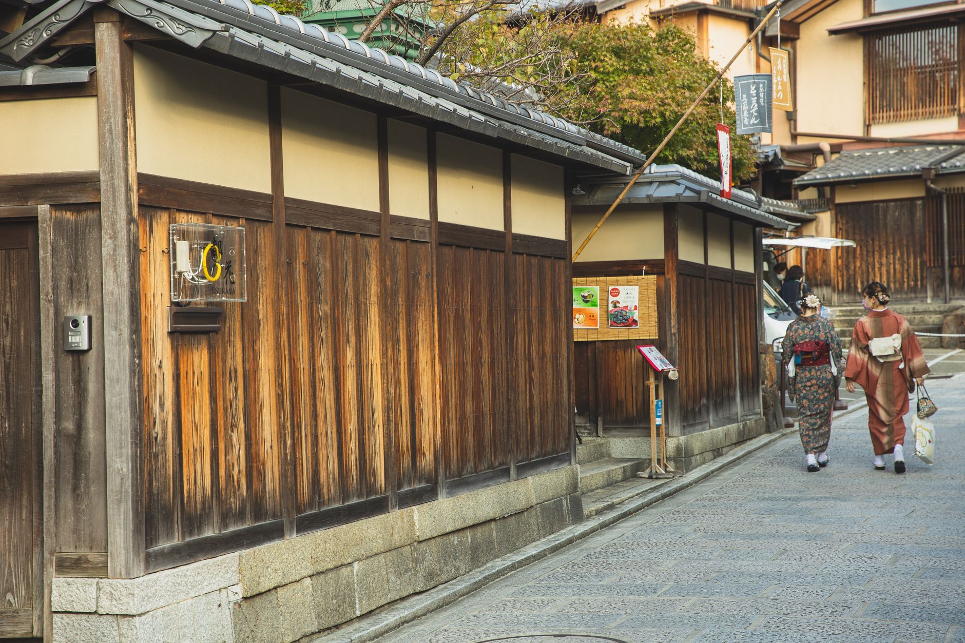 Gion Maruyama detail