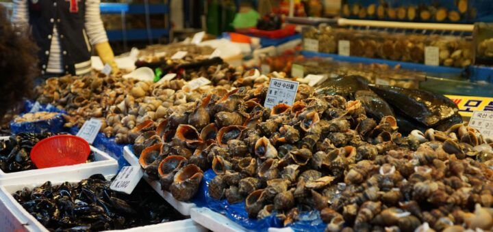 Jagalchi Market