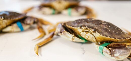 Joes Stone Crab