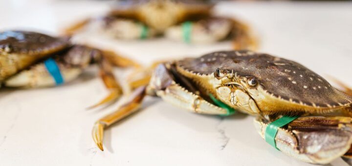 Joes Stone Crab