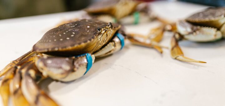 Joes Stone Crab