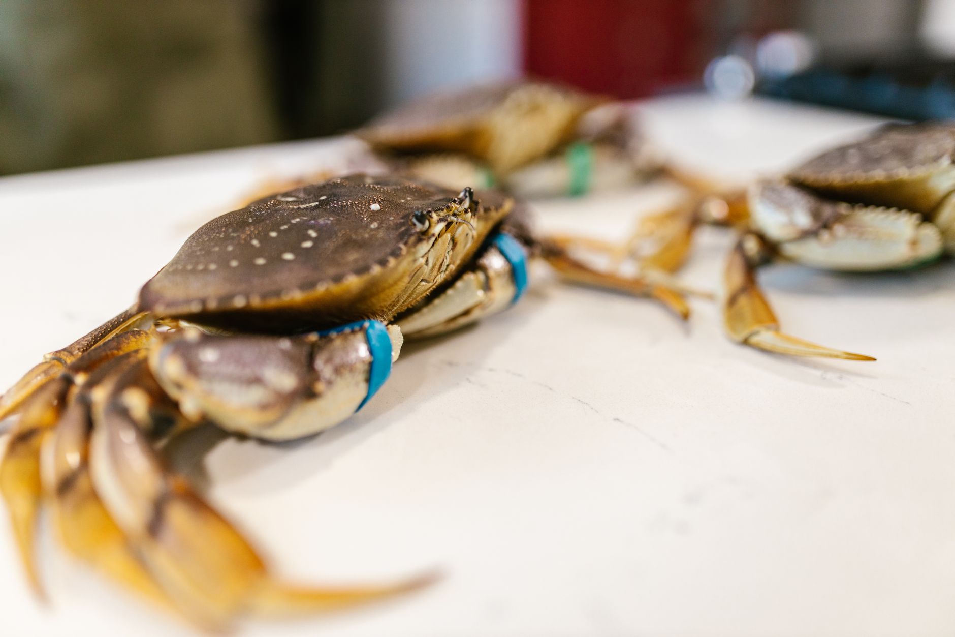 Joes Stone Crab - Miami Seafood di Miami