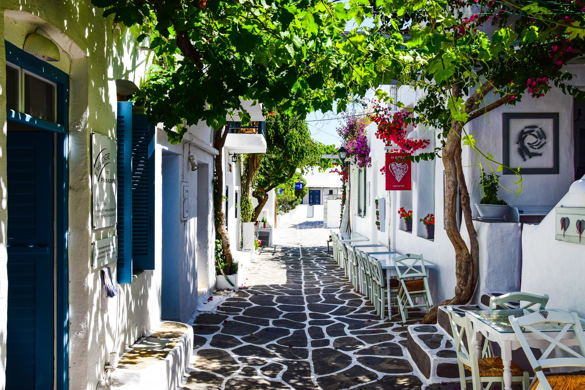 Kiki's Taverna dish