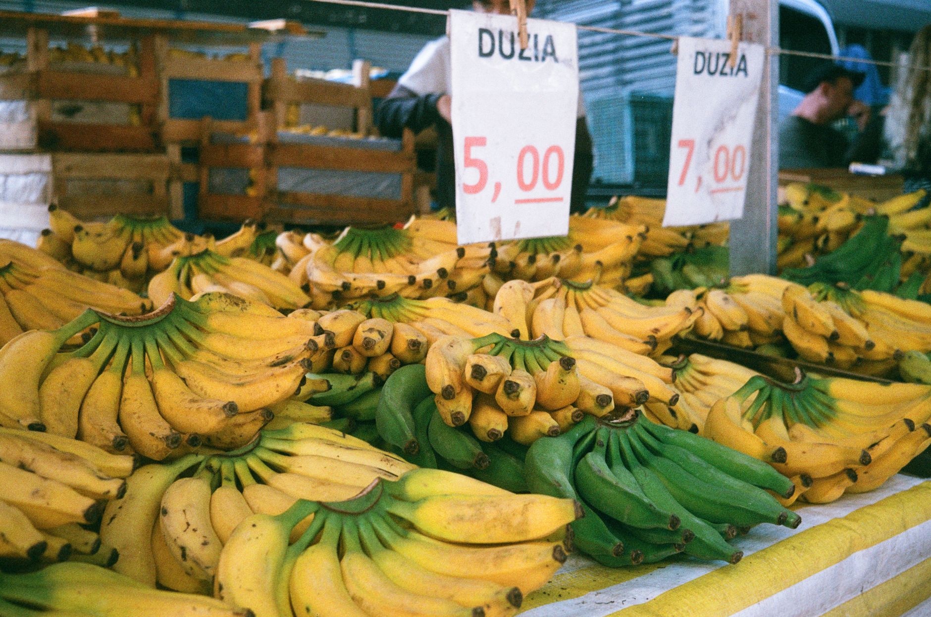 Lampredotto di Mercato Centrale