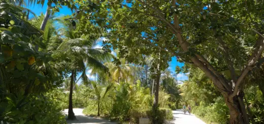 Soneva Fushi