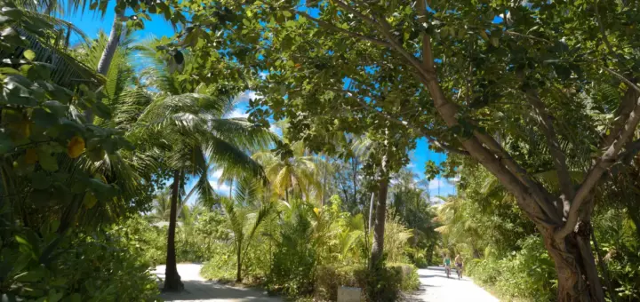 Soneva Fushi