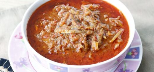 Tempoyak Ikan Patin